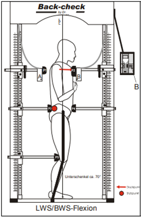 LWS-BWS Flexion